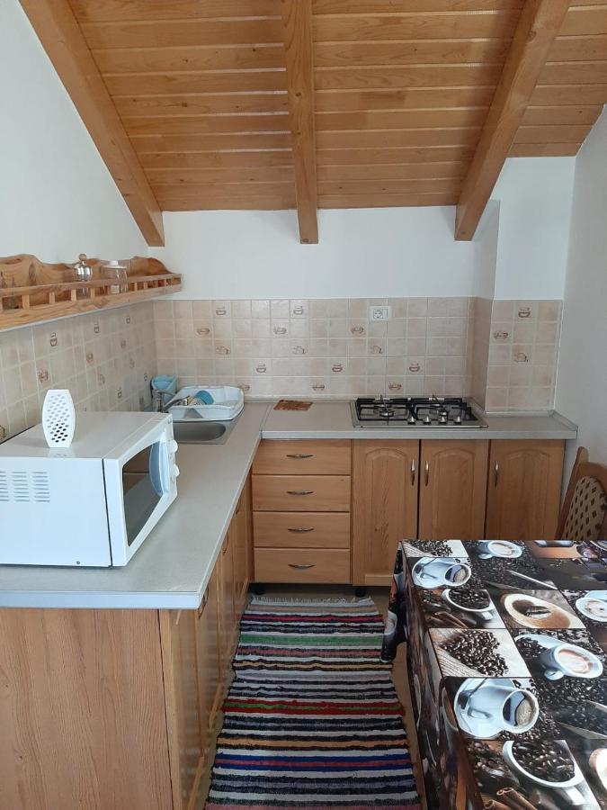 Casuta Pietrosul Rodnei Daire Borşa Dış mekan fotoğraf