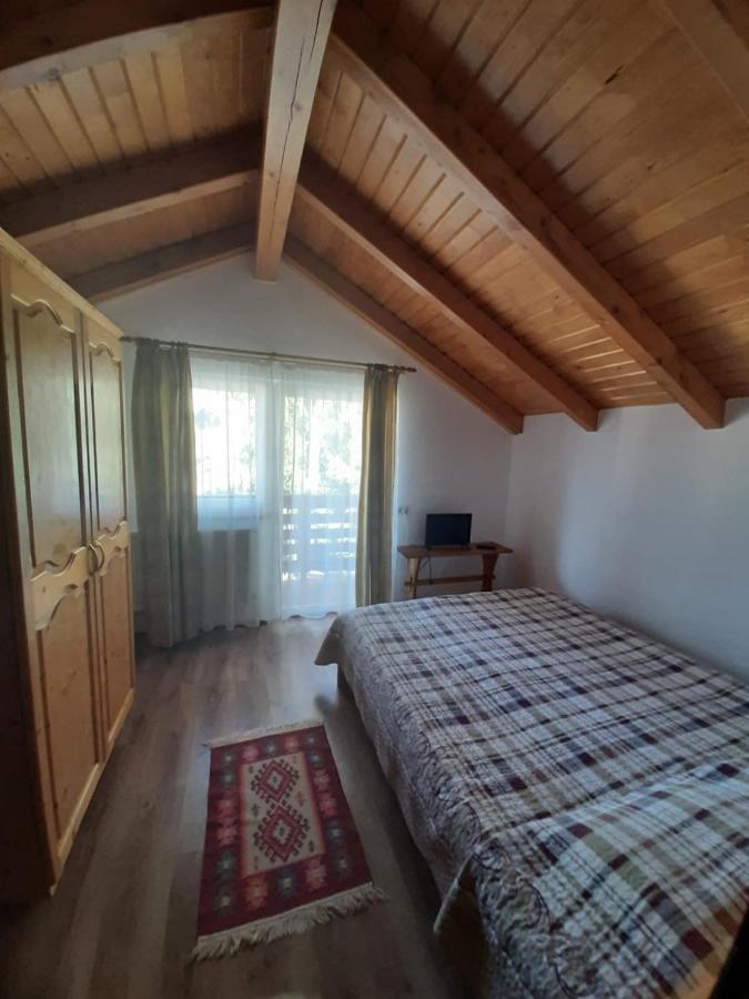 Casuta Pietrosul Rodnei Daire Borşa Dış mekan fotoğraf