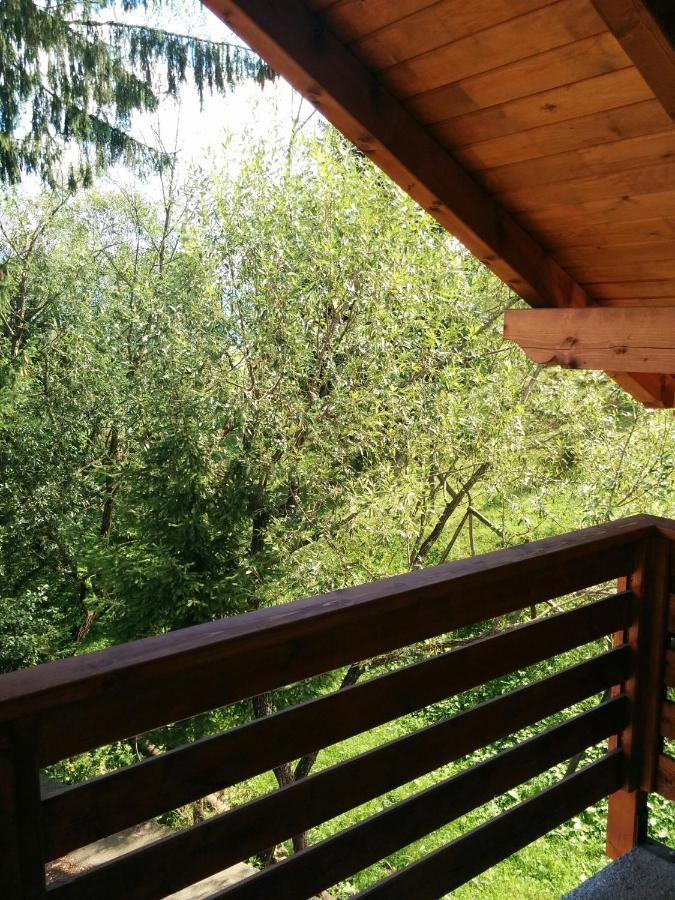 Casuta Pietrosul Rodnei Daire Borşa Dış mekan fotoğraf