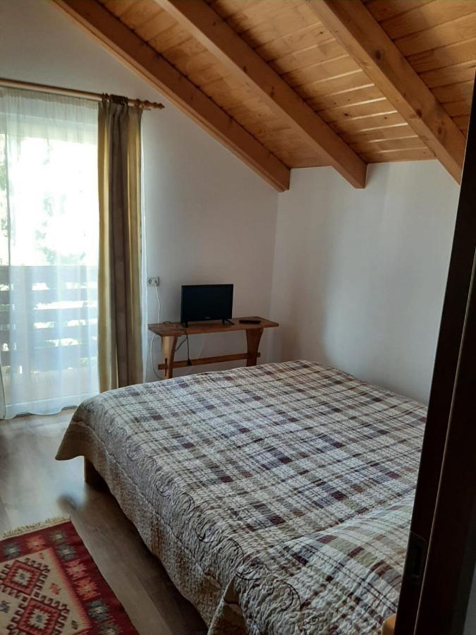 Casuta Pietrosul Rodnei Daire Borşa Dış mekan fotoğraf