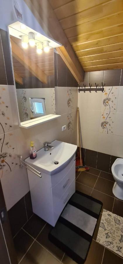 Casuta Pietrosul Rodnei Daire Borşa Dış mekan fotoğraf
