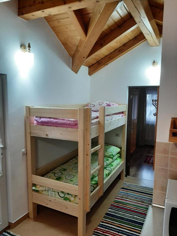 Casuta Pietrosul Rodnei Daire Borşa Dış mekan fotoğraf